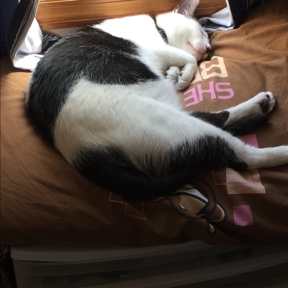 Meet your Posher, Lisa - Picture 1 of 1